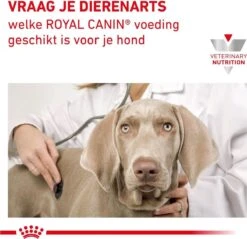 Royal Canin Gastro Intestinal - Hondenvoer - 7,5 Kg 18 Royal Canin Gastro Intestinal - Hondenvoer - 7,5 Kg -Hondenbenodigdheden Winkel 1200x1161 1