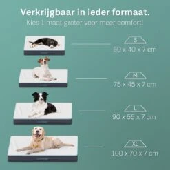 Bestsellers -Hondenbenodigdheden Winkel 1200x1200 606