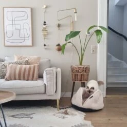 District 70 TUCK - Luxe & Comfortabele Mand Kleine Honden - Terra, Donkergrijs & Zand - 50x50x30 Cm - Zand 25 District 70 TUCK - Luxe & Comfortabele Mand Kleine Honden - Terra, Donkergrijs & Zand - 50x50x30 Cm - Zand -Hondenbenodigdheden Winkel 1200x1200 713