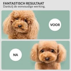 Krachtige Hondenföhn/ Waterblazer Met Draaiknop Om Overtollig Water En Stof Snel Uit De Vacht Te Blazen | Verstelbare Vermogen Standen (500W Tot 2200W) En Verstelbare Temperatuur - Type B Oranje -Hondenbenodigdheden Winkel 1200x1200 922