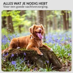 Krachtige Hondenföhn/ Waterblazer Met Draaiknop Om Overtollig Water En Stof Snel Uit De Vacht Te Blazen | Verstelbare Vermogen Standen (500W Tot 2200W) En Verstelbare Temperatuur - Type B Oranje -Hondenbenodigdheden Winkel 1200x1200 923