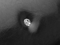 Hondenbenodigdheden Winkel -Hondenbenodigdheden Winkel 1200x899 2