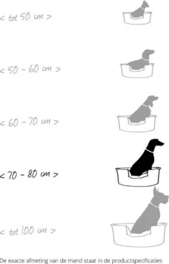 Hondenbenodigdheden Winkel -Hondenbenodigdheden Winkel 767x1200 6