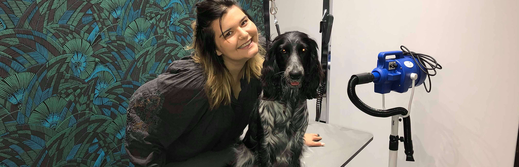 Hondenbenodigdheden Winkel -Hondenbenodigdheden Winkel 2